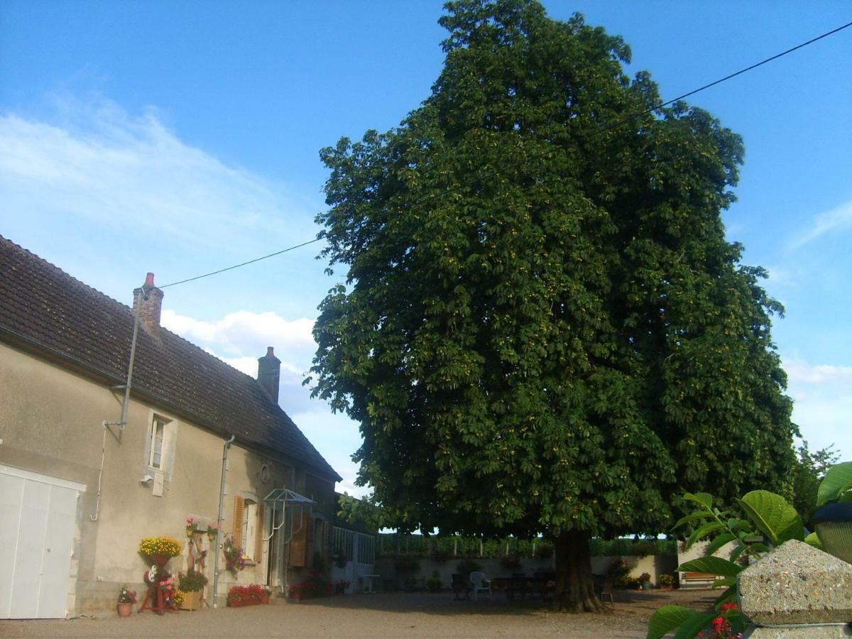 Bed and Breakfast Armalou Pouilly-sur-Loire Exterior foto